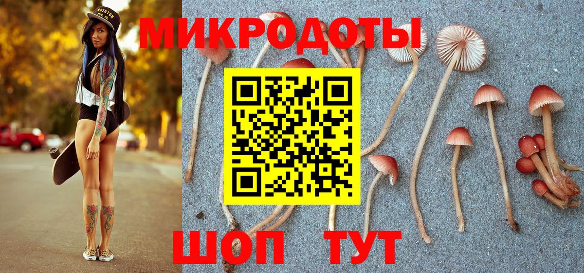 Псилоцибиновые грибы мухоморы Аргун